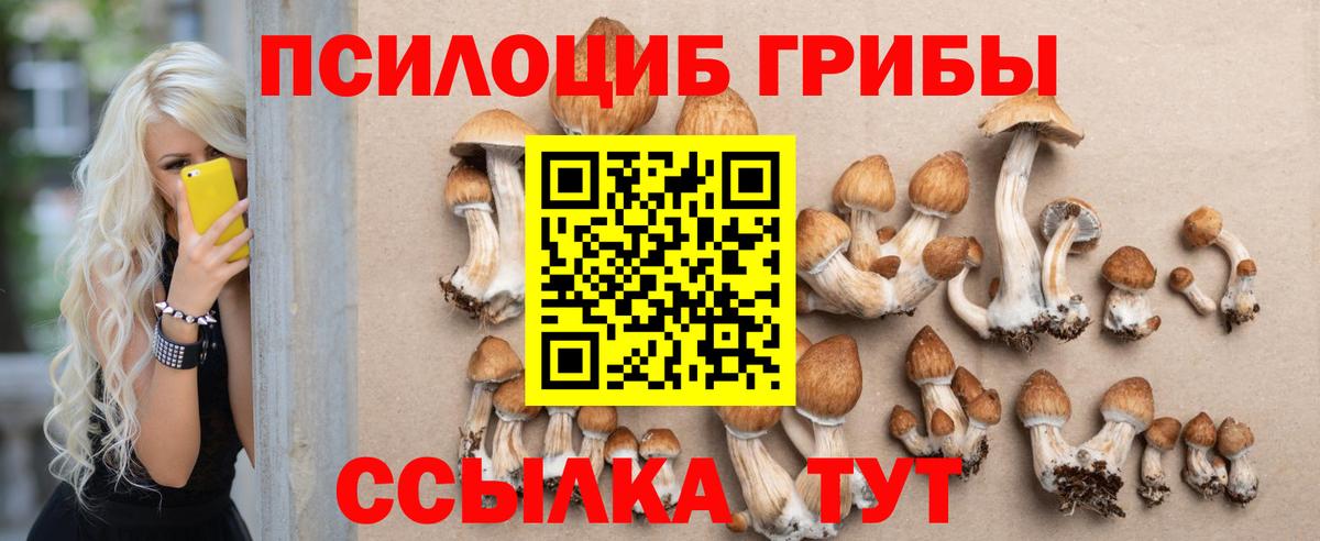 Галлюциногенные грибы Cubensis  Вход с VPN  купить наркотик  Краснотурьинск 